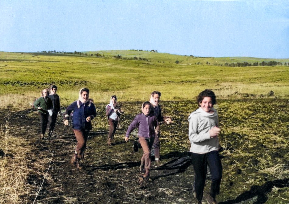 ריצה בשדות לביא 1965